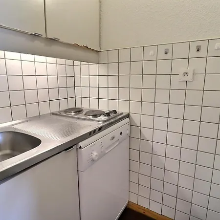 Duplex 3 Pièces Proche Pistes, Animaux Acceptés - Fr-1-182-164 Appartamento *