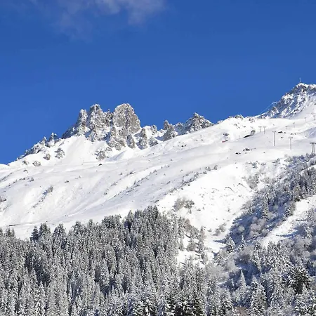 Appartamento Duplex 3 Pièces Proche Pistes, Animaux Acceptés - Fr-1-182-164
